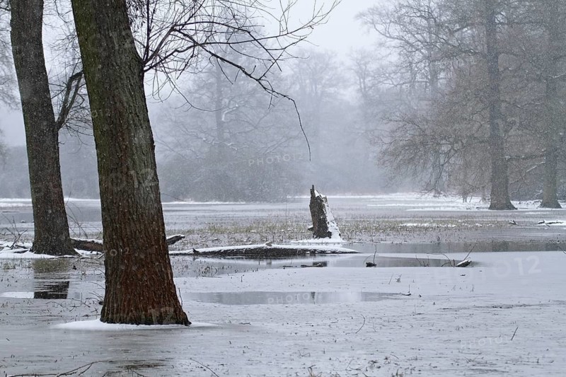 Winter floods, flooded meadows, Middle Elbe Biosphere Reserve, Saxony-Anhalt, Germany