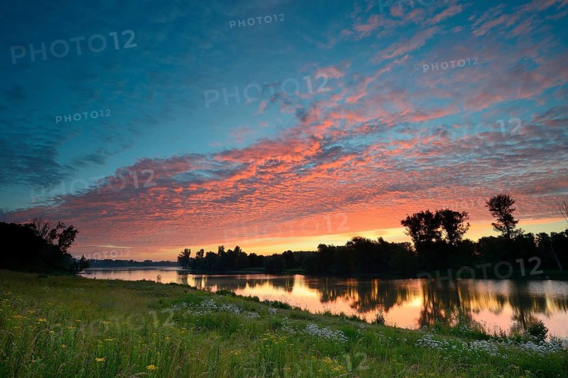 Morning glow on the Old Rhine with deciduous trees, Xanten, Lower Rhine, North Rhine-Westphalia, Germany