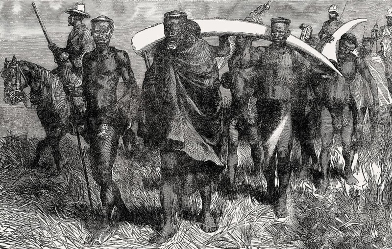 Cetshwayo kaMpande, king of the Zulu Kingdom bringing ivory as reparation, From British Battles on Land and Sea, by James Grant