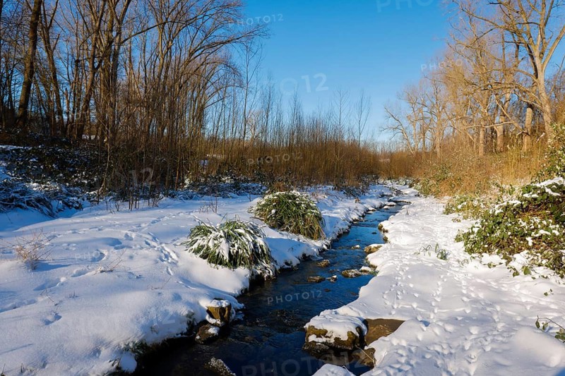 Bochum, North Rhine-Westphalia, Germany - Sunny winter landscape in the Ruhr area, ice and snow on the renaturalised Goldhammer Bach, the stream has been transformed into a near-natural watercourse, the Goldhammer Bach flows via the Hüller Bach into the Emscher, is part of the Emscher river system and thus part of the Emscher conversion, was previously an open, above-ground wastewater channel, mixed water channel with surface water and wastewater