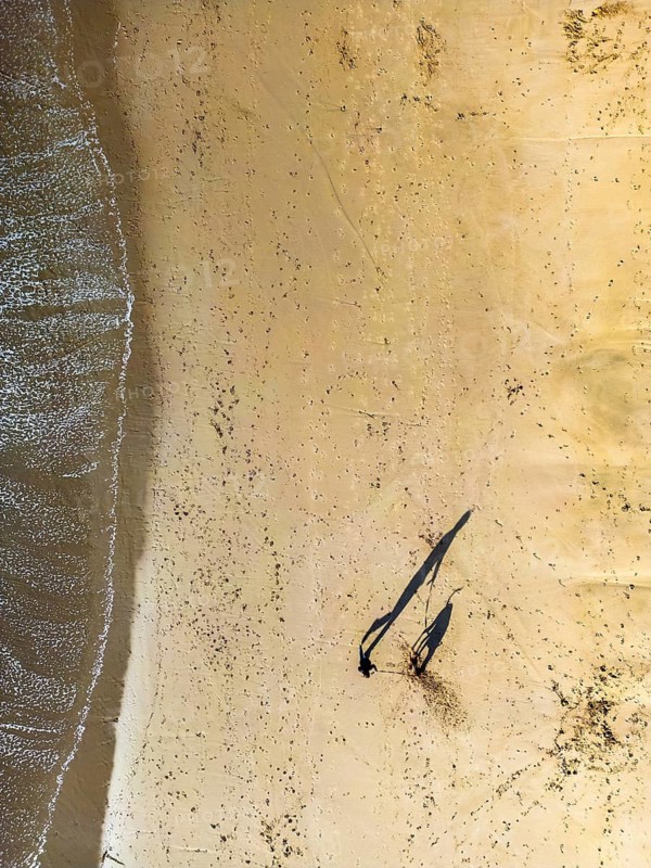 Aerial shot captures a person and his dog walking on a sandy beach, casting long shadows in the golden sunlight in the Great Ocean Road, Australia