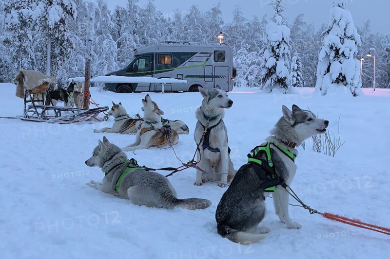 Huskies and dog sleds in front of a motorhome in winter, Ranua, Lapland, Finland