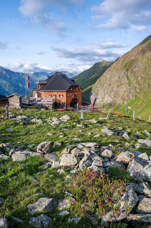 Mountain hut Lasörlinghütte in the evening light, mountain landscape with alpine roses, Lasörlinggruppe, Hohe Tauern, East Tyrol, Tyrol, Austria