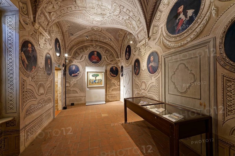 Exhibition room, Palazzo Salmatoris also Palazzo della Pace, Baroque, Cherasco, Province of Cuneo, Langhe, Piedmont, Italy