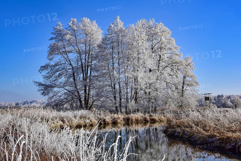Winter landscape in hoarfrost with trees and river in the Augsburg Western Forests nature park Park, Bavaria, Germany