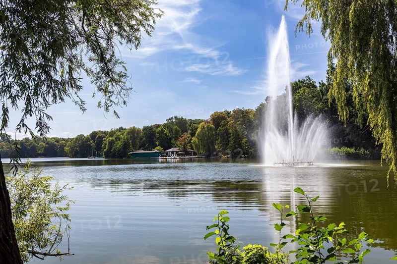 Swan pond with water fountain, Swan Pond Park, Zwickau, Saxony, Germany