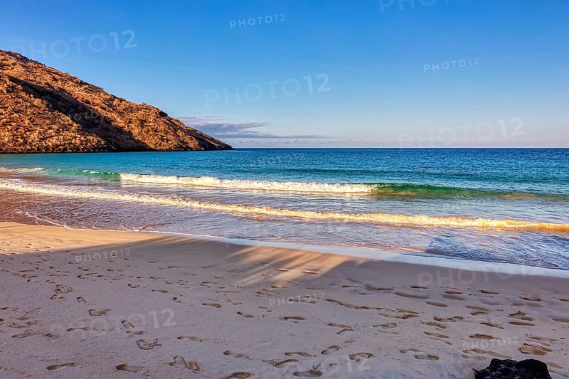 Beach, bay, Cormorant Point, Galapagos, Ecuador