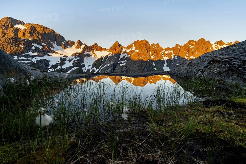Rocky mountain peaks with reflection, small pond with cotton grass in moor landscape at Trollfjord Hytta, mountain landscape with alpenglow at sunrise, at Trollfjord, Lofoten and Vesterålen, Nordland, Norway