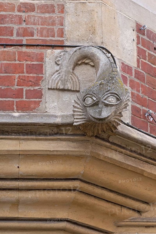 Sculpture above the door of the former Dolphin Inn, Winchester, Hampshire, England, United Kingdom