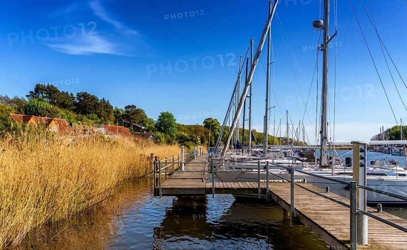 Jetty and landscape at Lake Neuensien in Seedorf, Rügen, Mecklenburg-Western Pomerania, Germany