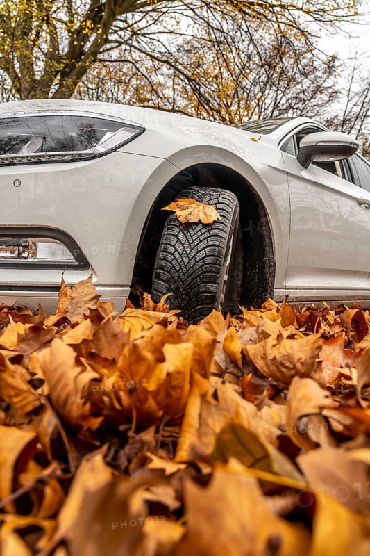 Driving on autumn leaves, slippery surfaces, leaves, grip from winter tyres