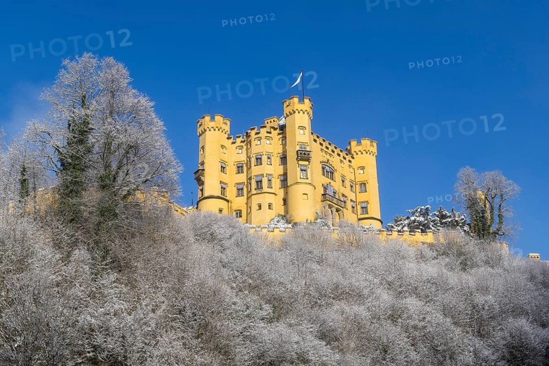Imposing yellow castle in front of frosty trees and clear sky in winter, Hohenschwangau Castle, Schwangau, Königswinkel, Ostallgäu, Allgäu, Swabia, Bavaria, Germany