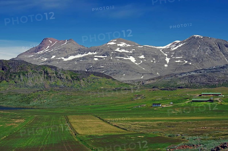 Wide fields with snow-covered mountains and blue sky in the background, agriculture, Igaliku, North America, Greenland, Denmark