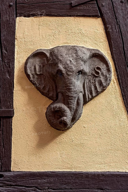 Head of elephant, sculpture modelled in clay by carver and sculptor Ulrich Seidenberg, Cafe and Bistro Elefantenhaus, restored half-timbered house, historic old town, Michelstadt, Odenwald, Hesse, Germany