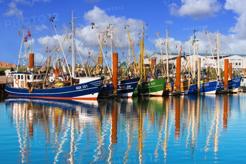 Fishing boats in Norddeich, East Frisia, Norddeich, Lower Saxony, Federal Republic of Germany