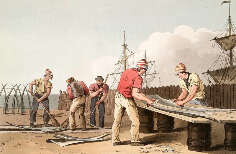 Scene from everyday life in England around 1810, fisherman scraping whalebone, whalebone, historical, digitally restored reproduction from a 19th century original, date unknown