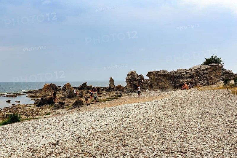 Nature reserve with bizarre limestone formations, Raukar, hiker, coastline near Folhammar, east coast, island of Gotland, Baltic Sea, Sweden
