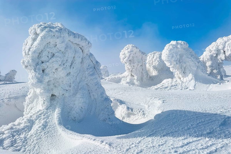 Snowy landscape with icy trees under a blue sky, calm and cold atmosphere, Brocken, Wernigerode, Harz, Harz National Park, Saxony-Anhalt, Germany