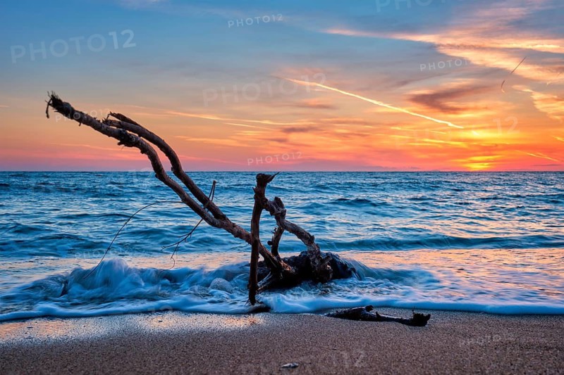 Ld wood trunk snag in water at tropical beach on beautiful sunset. Nature seascape background. Sun setting in waves of Aegean sea. Agios Ioannis beach, Milos island, Greece