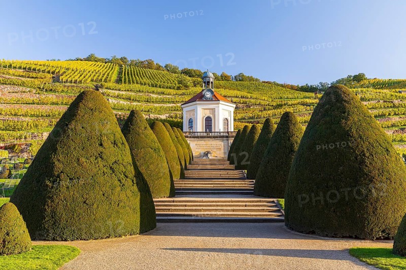 Belvedere in the vineyard, palace gardens Wackerbarth, Radebeul, Saxony, Germany