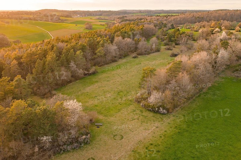 View of a green meadow with trees in warm evening light, e-bike tour, old sports ground in Gechingen, Hecken and Gäu region, Calw district, Germany