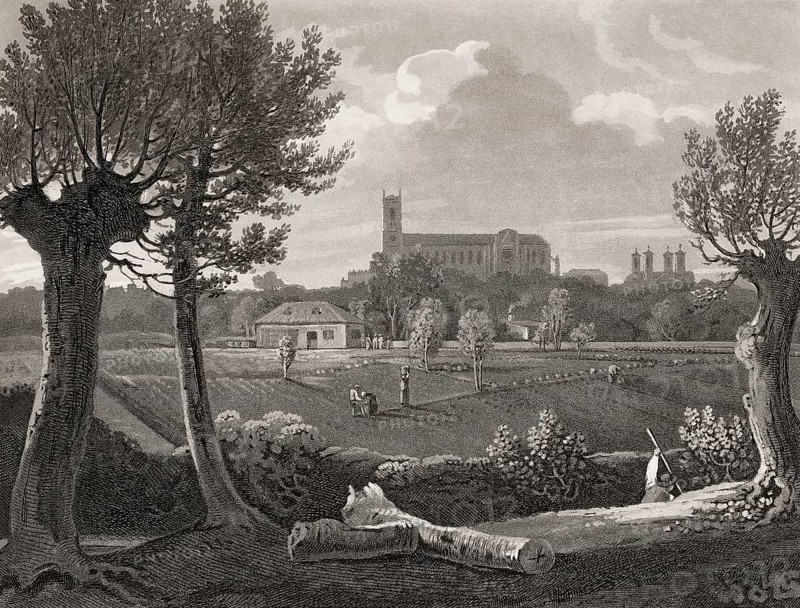 View of Westminster from Millbank, London, England, 1807