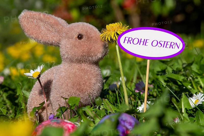 Happy Easter: Easter bunny in a meadow of flowers next to a sign with the added text FROHE OSTERN (Happy Easter)