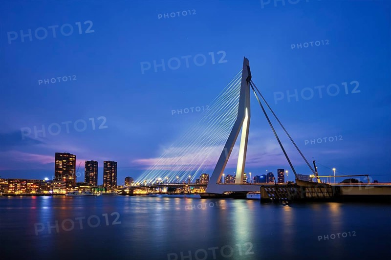 Erasmus Bridge (Erasmusbrug) and Rotterdam skyline illuminated at night. Rotterdam, Netherlands