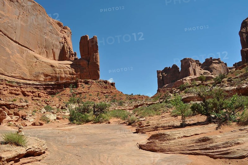 Red rock landscape with clear sky and sparse vegetation, Arches National Park, Utah, USA