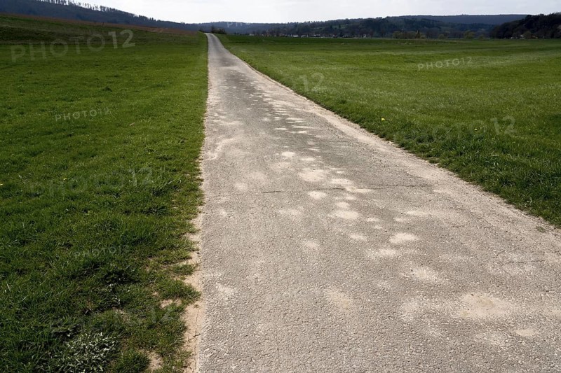 Bike path R1, near Wesertal, Weser Uplands, Weserbergland, Hesse, Germany