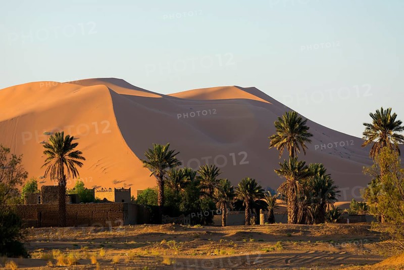 Sand dunes, sunrise, near Merzouga, Meknès-Tafilalet region, Erg Chebbi, northern Sahara, Morocco