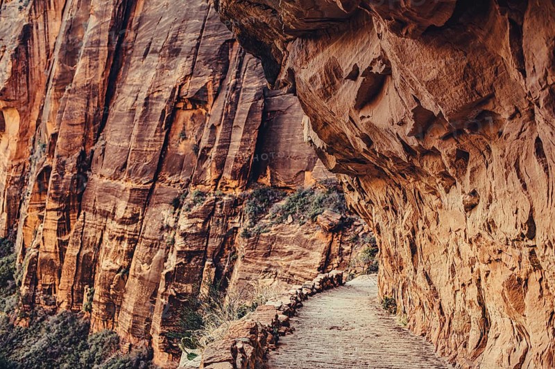 Zion National Park