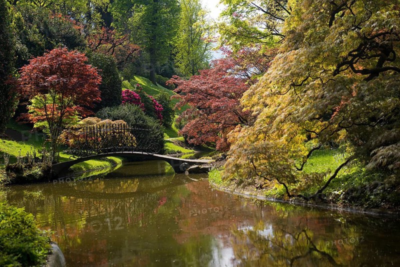 Pond with bridge in the park, spring, Villa Melzi, Bellagio, Province of Como, Lombardy, Italy