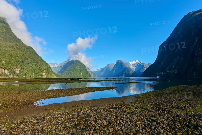 Natural wonder with reflections in a body of water in front of forested mountains, summer, Milford Sound, Te Anau, Fiordland National Park, South Island, New Zealand