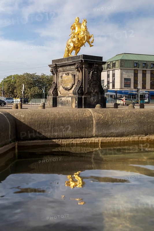 Equestrian statue of the Golden Horseman with reflection in the Nymphenbrunnen fountain, Neustädter Markt, Dresden, Saxony, Germany