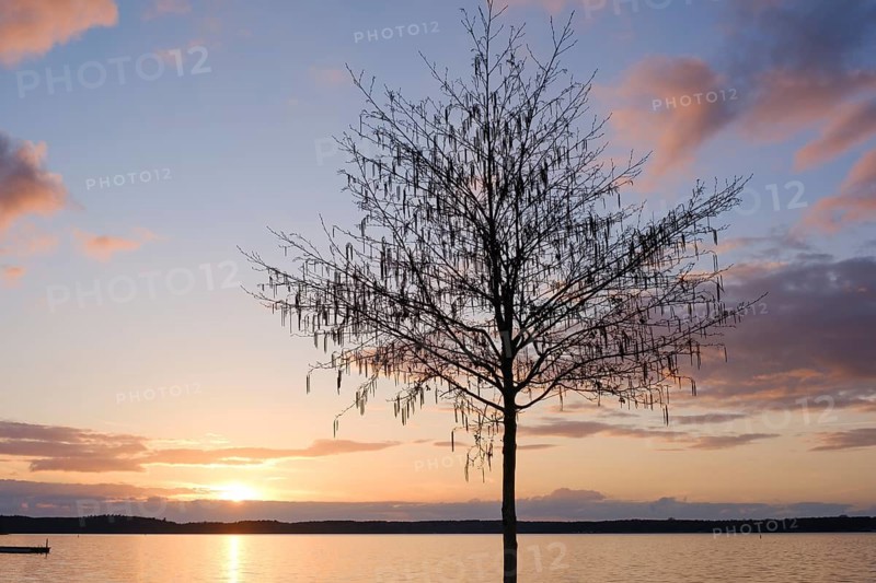 Sunset at Lake Müritz, Waren, Müritz, Mecklenburg Lake District, Mecklenburg, Mecklenburg-Vorpommern, Germany