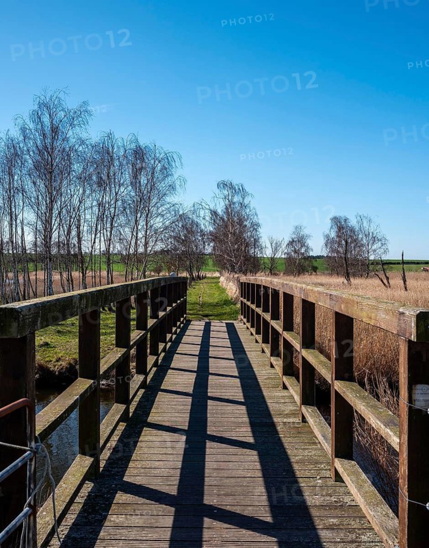 Landscape at Lake Neuensien on the island of Rügen, Mecklenburg-Western Pomerania, Germany