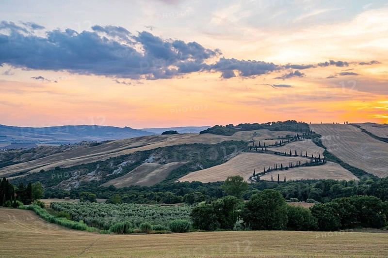 Typical Tuscan landscape in Val d'Orcia with hills, trees, fields, cypresses and farm road in autumn at sunset, La Foce, Tuscany, Italy