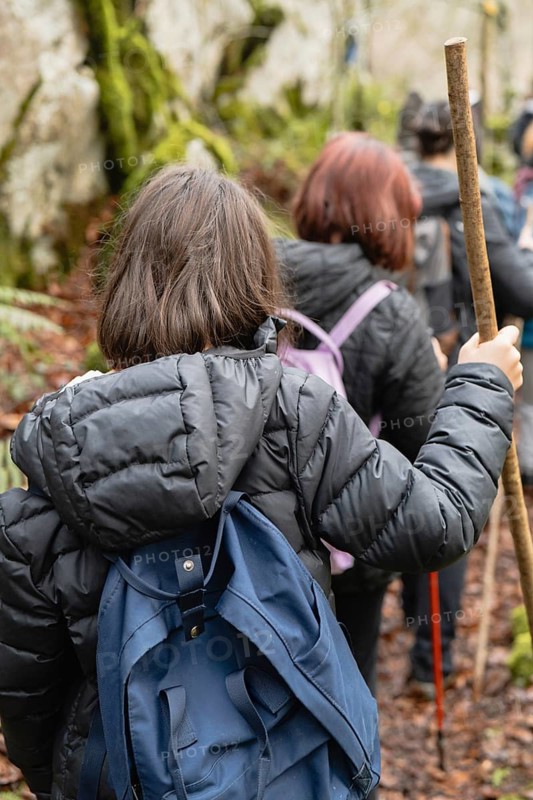 A group of hikers with backpacks and walking sticks navigate through a magic forest. Moss covered rocks and vibrant greenery surround the explorers, capturing the spirit of adventure