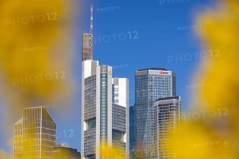 The office towers of Commerzbank and DekaBank in Frankfurt am Main rise into the blue sky, Frankfurt am Main, Hesse, Germany