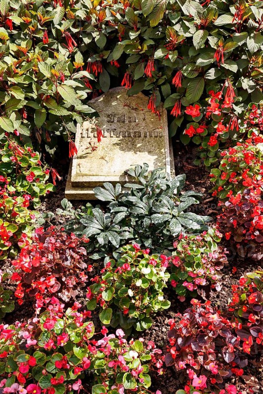 Grave of Ida Hoffmann, woman of August Heinrich Hoffmann von Fallersleben, gravestone with inscription, cemetery, former Corvey Abbey and Castle, The Carolingian Westwork and the Civitas Corvey, Höxter, Germany