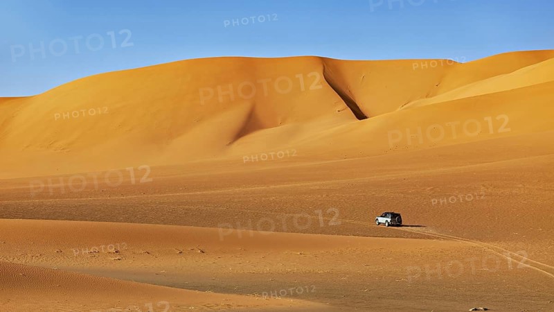 An off-road vehicle crosses a vast desert landscape under a bright blue sky, Off-road vehicle driving through the dry desert, a tree in the foreground, By off-road vehicle through the Sahara desert in Algeria