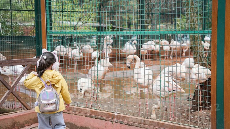 GAZIANTEP, TURKEY - APRIL 18, 2026: Visitors enjoy an early spring stroll at Gaziantep Wildlife Park. Ranked as the largest zoo in Turkey, the second largest in Europe, and fourth globally, the park is a major attraction home to 380 diverse animal species, Gaziantep, Turkey