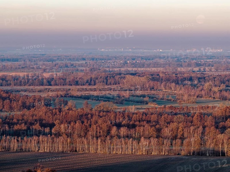 Landscape in the Drömling UNESCO Biosphere Reserve in the Altmark at dawn on a cold spring day. The tree tops are reddish in the morning light. aerial view. Dannenfeld, Gardelegen, Saxony-Anhalt, Germany