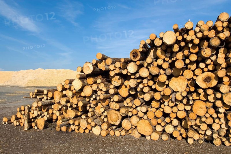 Sawdust and wood piles, stacked, wood, forestry, industry, sawmill in Sweden