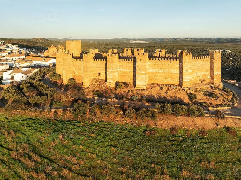 The impressive Moorish Burgalimar castle at the town of Baños de la Encina is surrounded by extensive cultivations of olive trees (Olea europaea). Aerial view. Drone shot. Jaén province, Andalusia, Spain