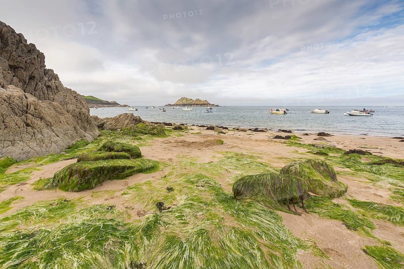 Beach with green algae covered sand and rocks at Cancale. Looking at the sea and the isle Ile de Lands
