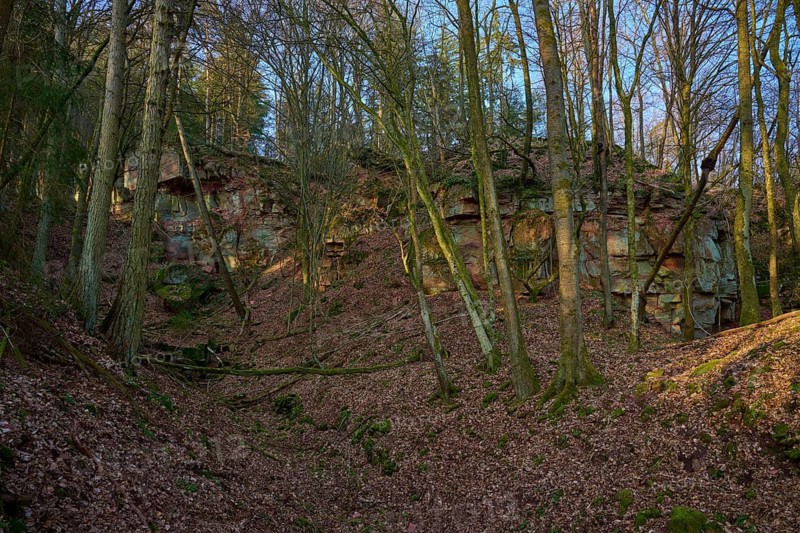 Forest trail in shade with steep rock walls in the background and fallen leaves, old quarry, Boxtal, Main-Boxtal, Tauber district, Baden-Württemberg, Dorfprozelten, Main, Spessart, Bavaria, Germany