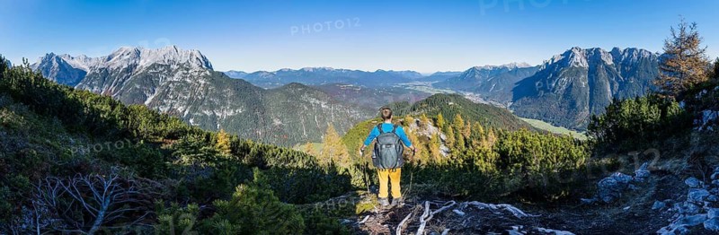 Mountaineer on a hiking trail between mountain pines, autumnal mountain landscape, ascent to the Große Arnspitze, view of the Wetterstein ridge and Karwendel, near Scharnitz, Bavaria, Germany