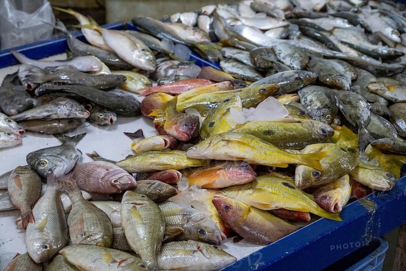 Fish market, Salalah, Oman